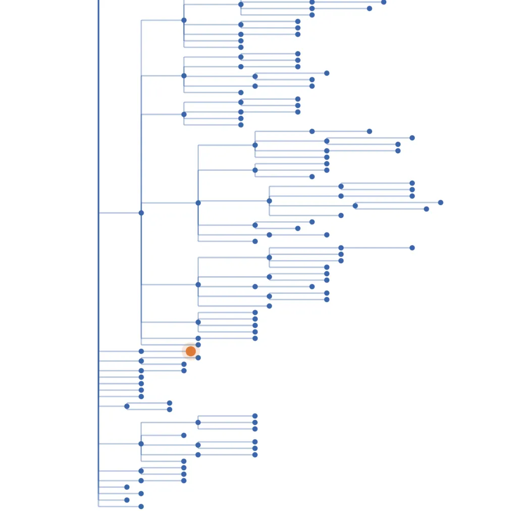 DST Branching